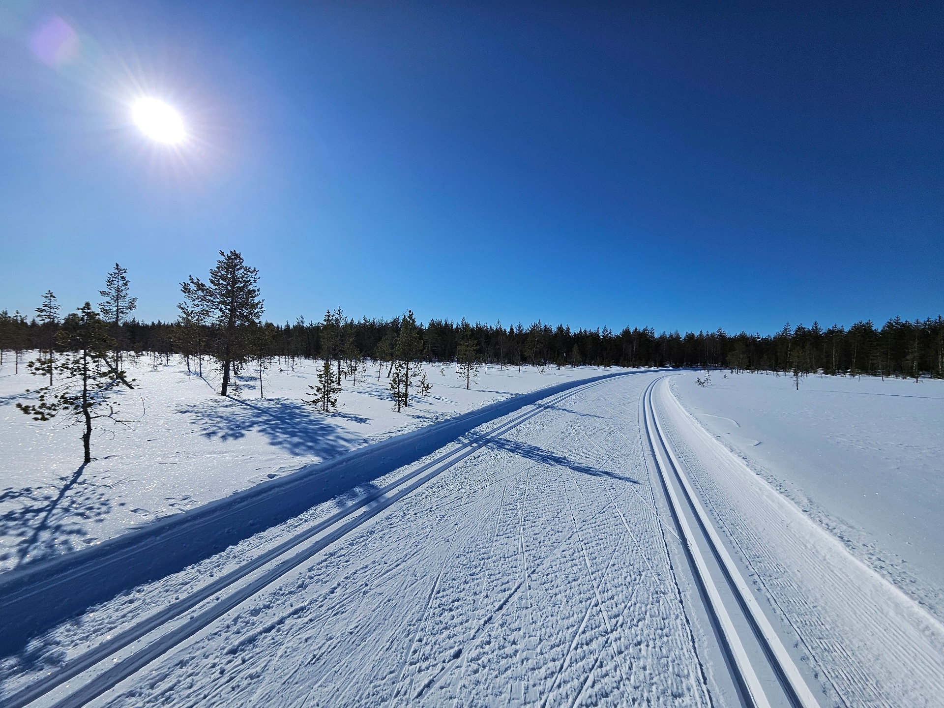 Spring and Spring Sun