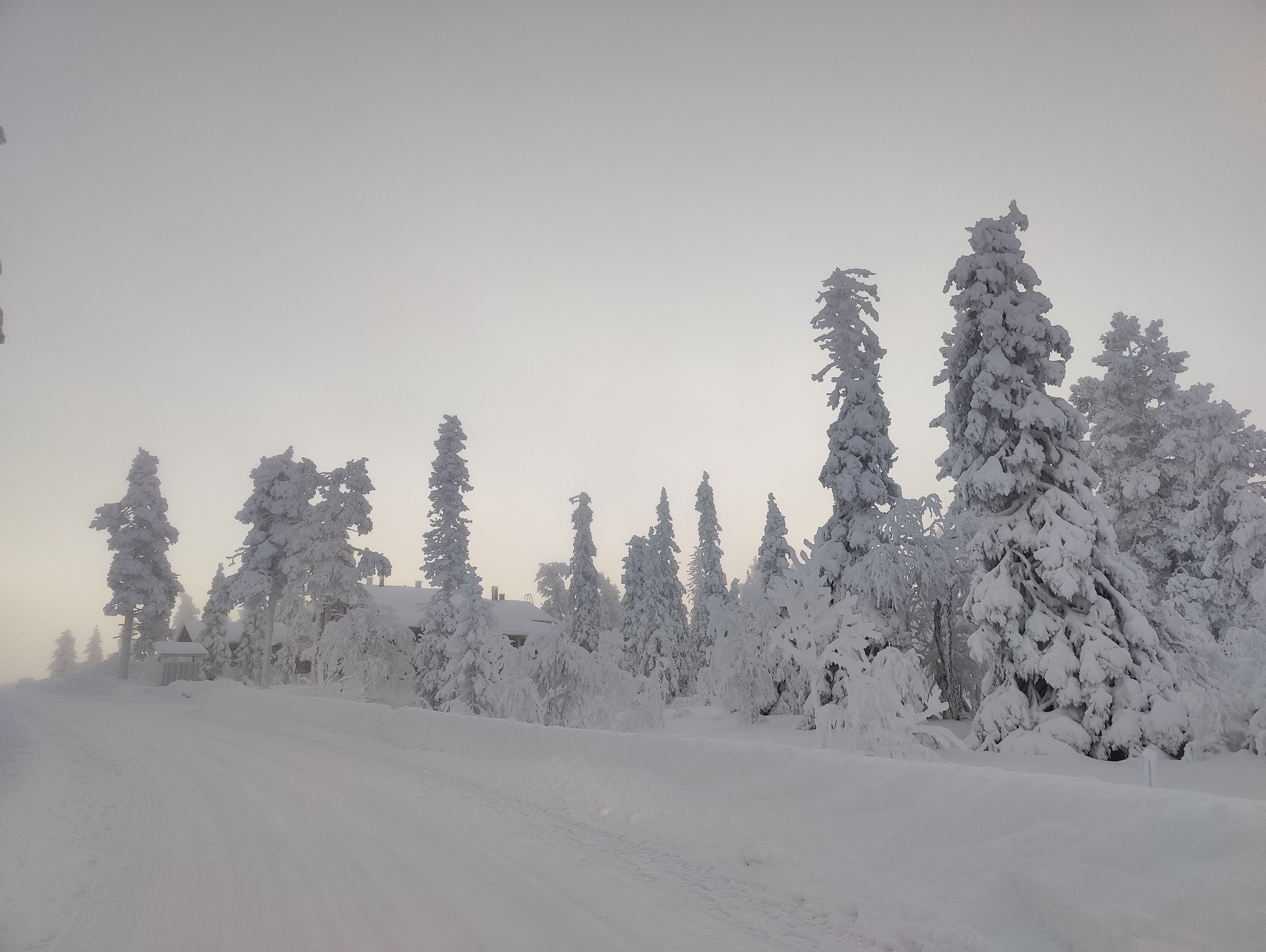 Winter and Polar Night